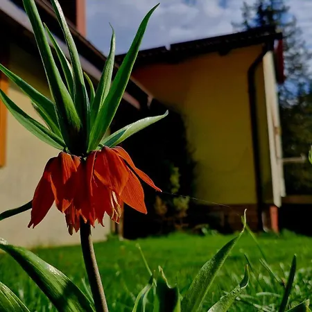 Nad Jeziorem Lewinko Kaszuby * Poblocie