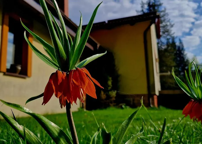 Nad Jeziorem Lewinko Kaszuby * Poblocie