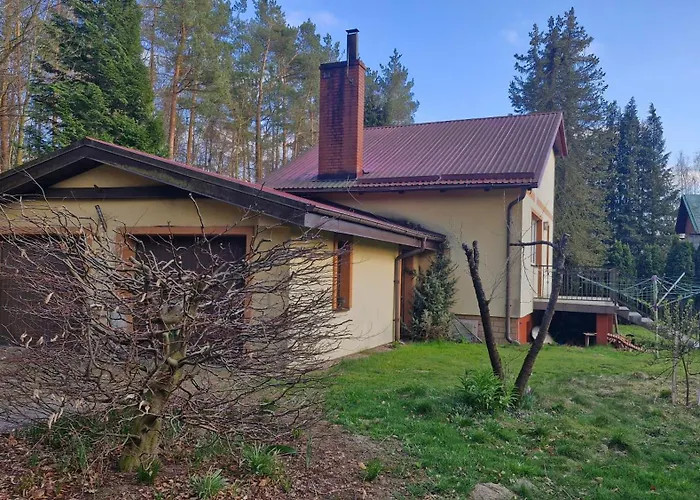 Nad Jeziorem Lewinko Kaszuby Poblocie