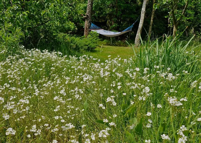 Nad Jeziorem Lewinko Kaszuby * Poblocie